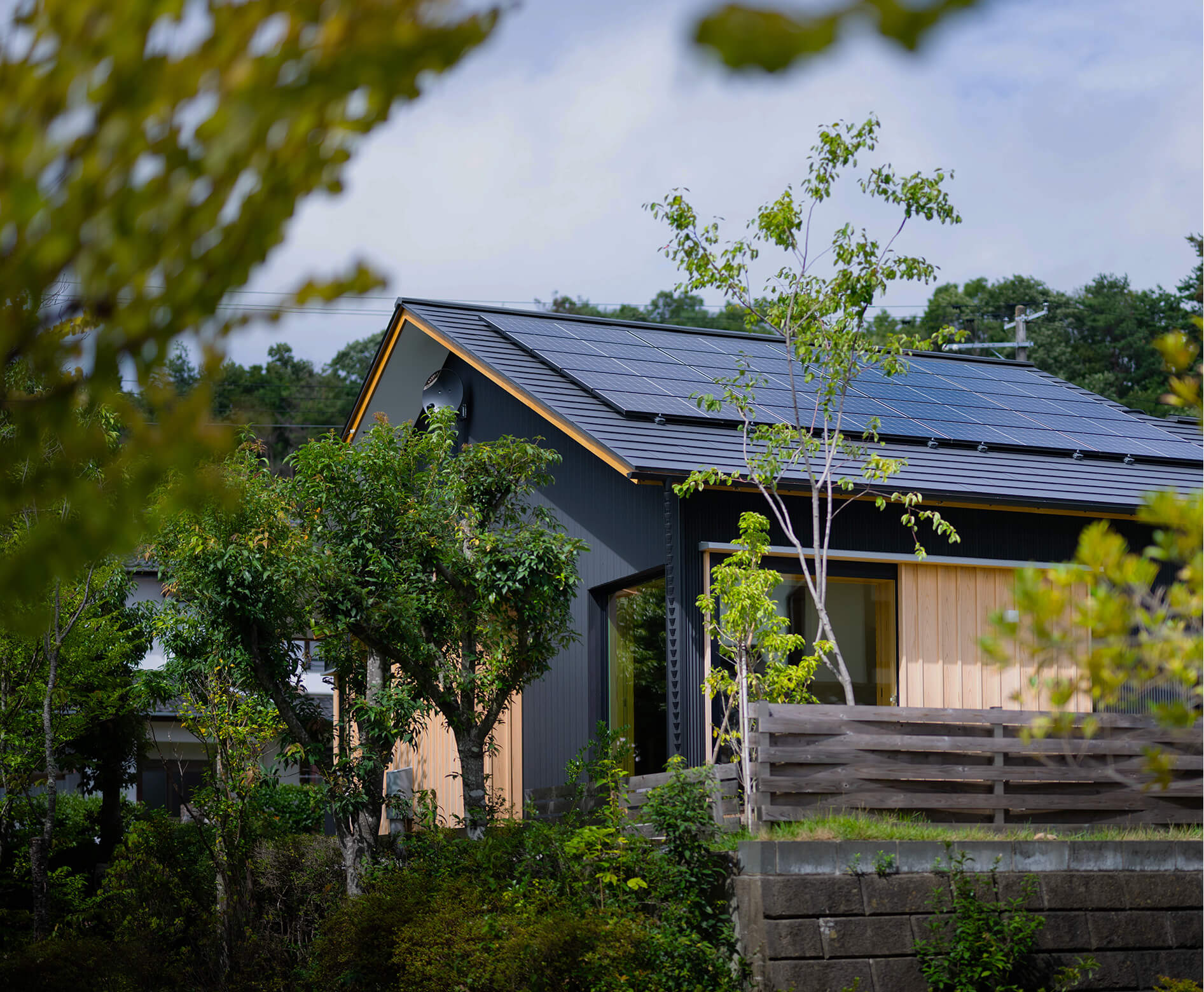 木と、家と、人と。